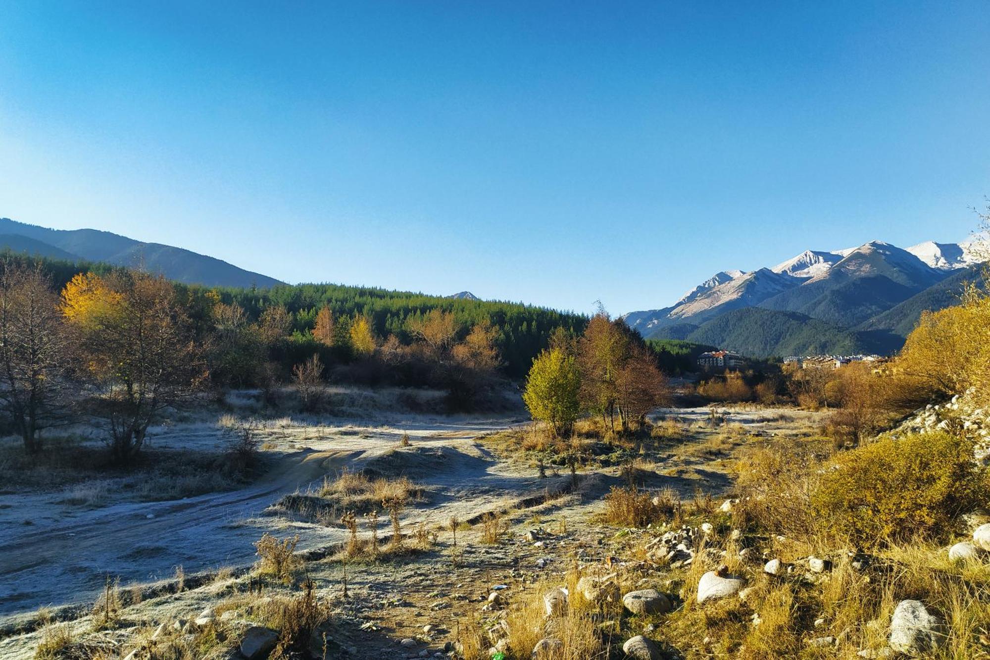 Cozy Apartment Next To The Forest And The Gondola Bansko Ngoại thất bức ảnh